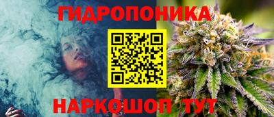 индика Бузулук